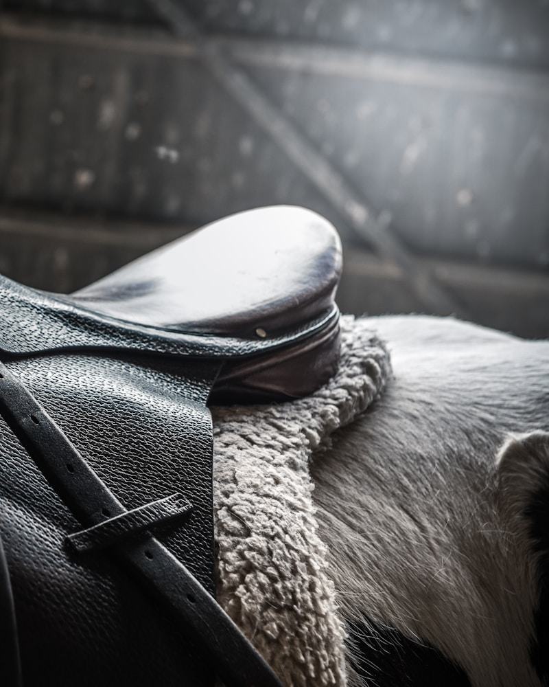An English saddle fitted with a sheepskin numnah
