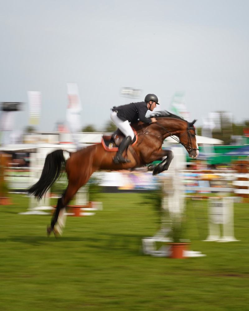 A showjumping rider clearing a fence