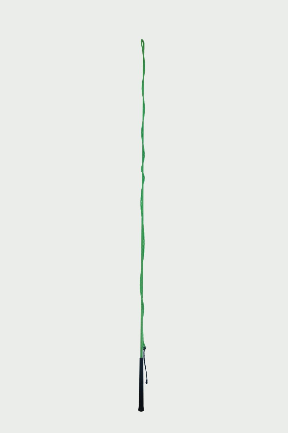 Lunge Whip
